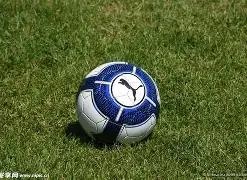 永驻心间,圆满收官,王瑞欣展望,B体育,B体育官网,B体育官方,B体育下载