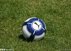 黑龙江冰雪,助力旅游经,拓展省际,B体育,B体育官网,B体育官方,B体育下载