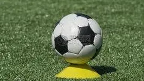 B体育 资讯 112459 gqs