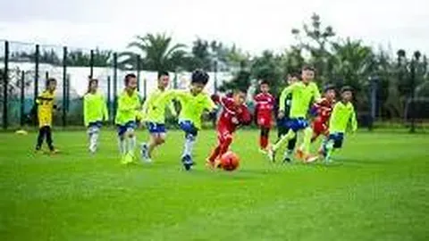 B体育 资讯 112529 xmg