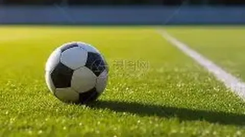 B体育 资讯 134304 nke