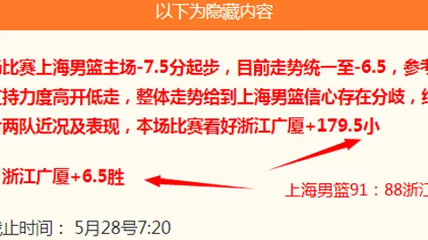 西篮甲深度解析热门赛事，详览总分及胜负关键
