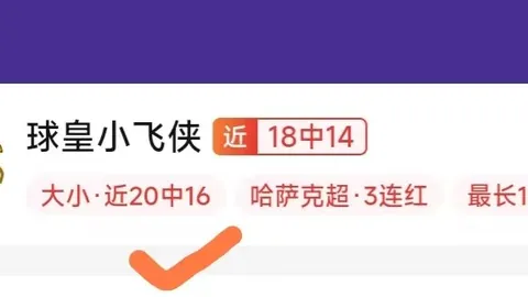 厄瓜多尔甲级联赛11连胜：哪支球队能称霸终极对决